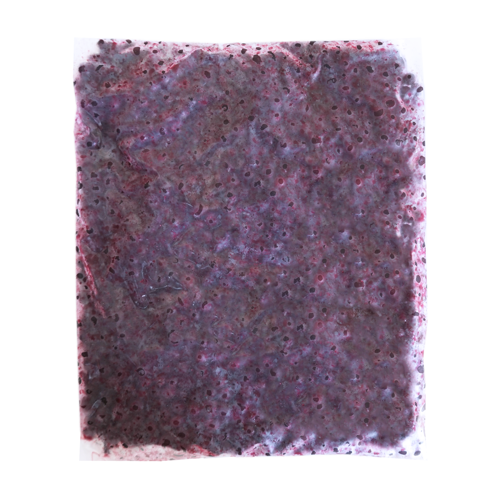 有機 JAS オーガニック 冷凍 ワイルド ブルーベリー 野生種 カナダ産 化学物質不使用 (1kg) ホライズンファームズ