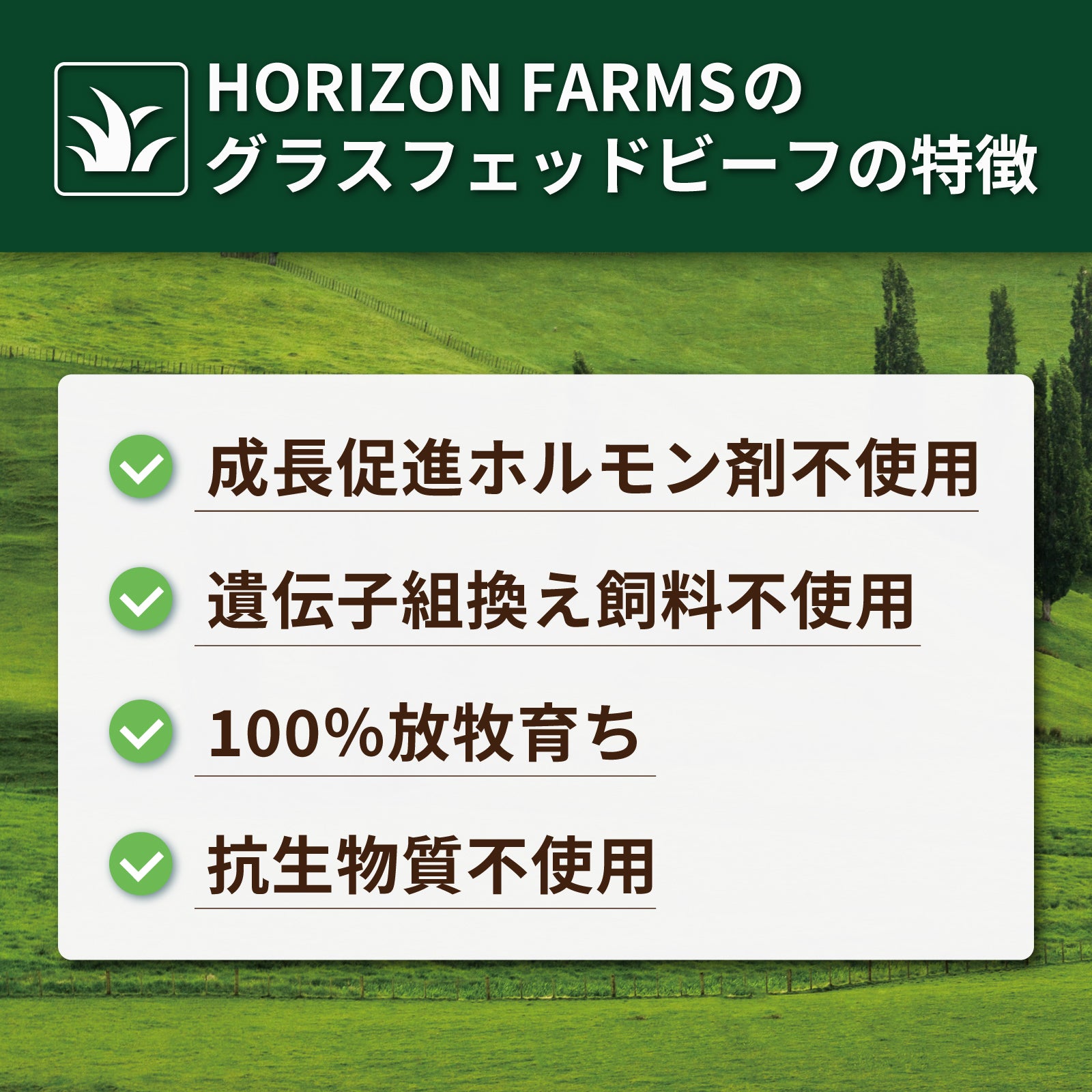 グラスフェッドビーフ 牛肉 肩バラ ブロック 煮込み用 牧草牛 (300g) ホライズンファームズ