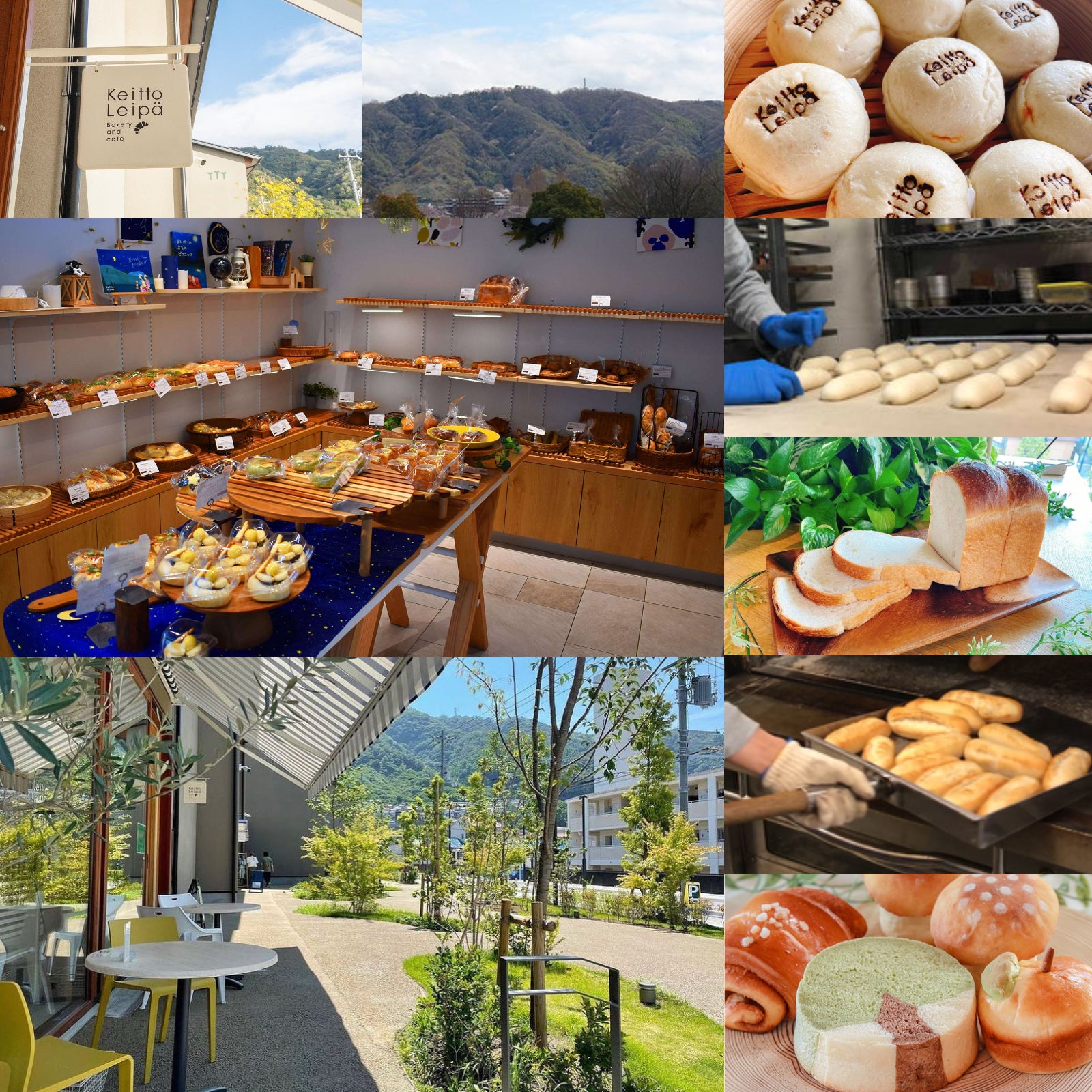 無添加 手作り ディナーロール パン 卵不使用 砂糖不使用 国産 訳あり (5個) 賞味期限:2025/8/30 【日時指定不可】【銀行振込不可】 ホライズンファームズ