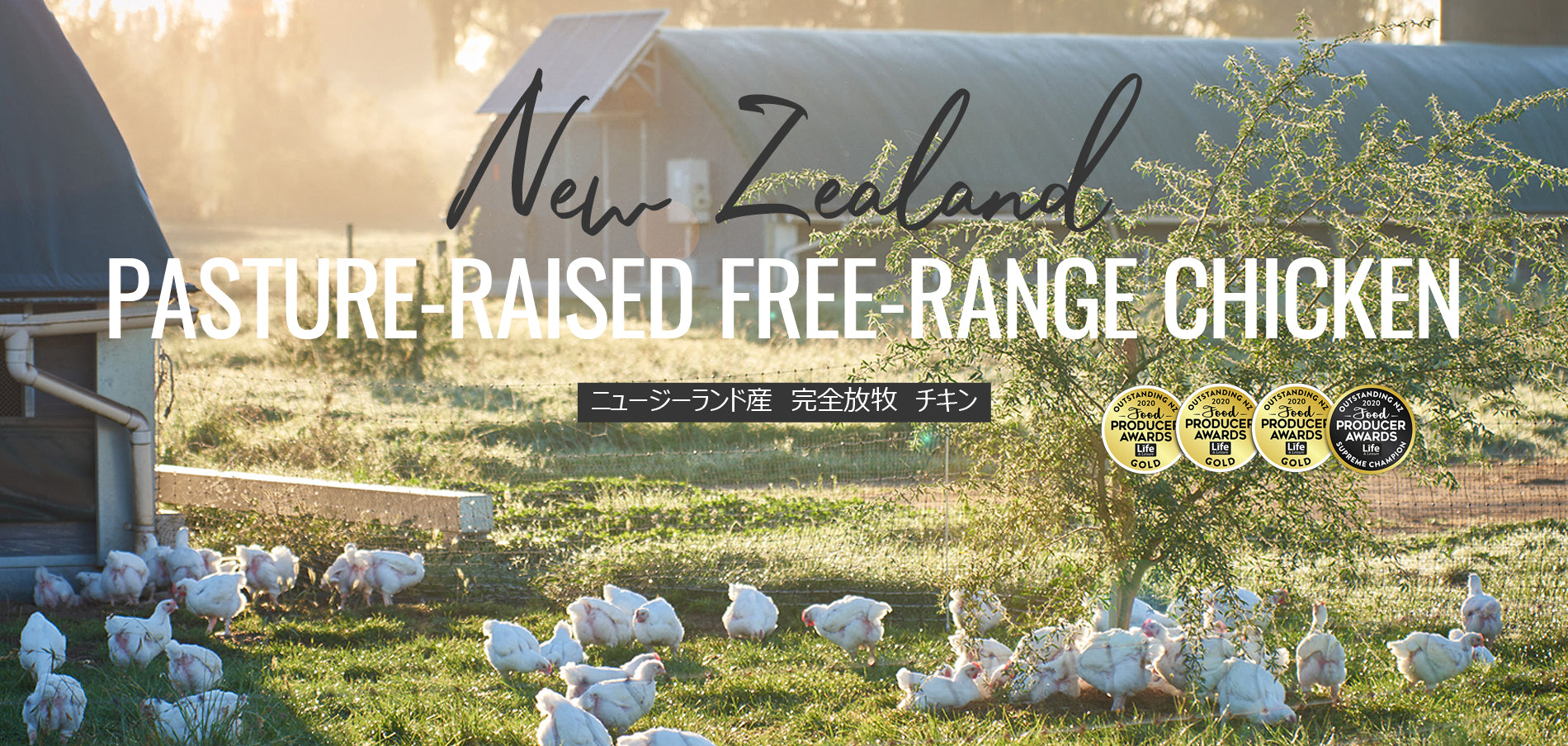 ニュージーランド産 完全放牧鶏 オーガニックチキン