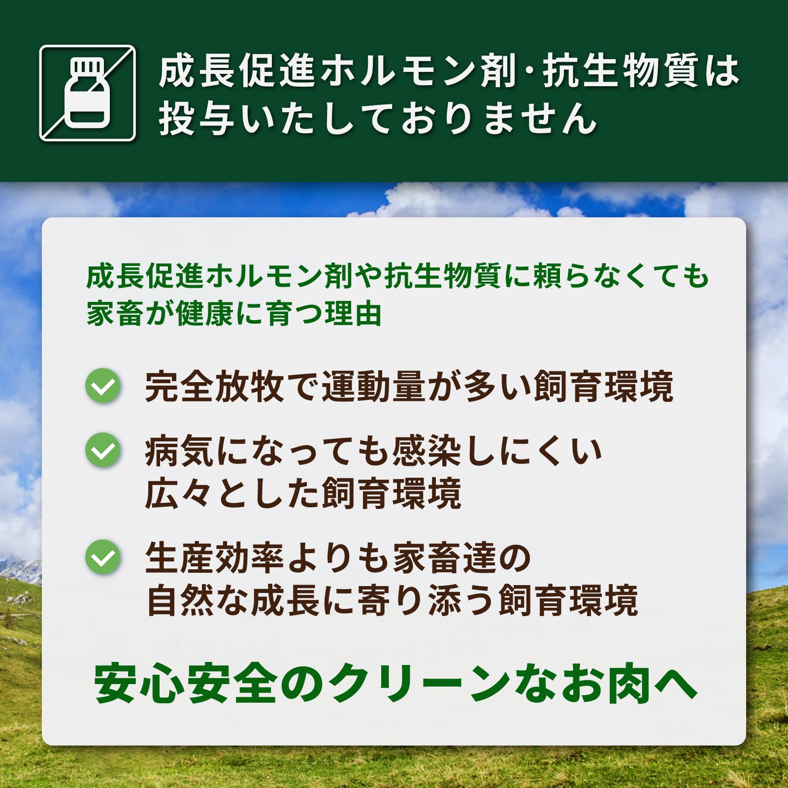 グラスフェッドビーフ 牛肉 サーロインステーキ 詰め合わせセット ニュージーランド産 牧草牛 合計10点 (2kg) ホライズンファームズ