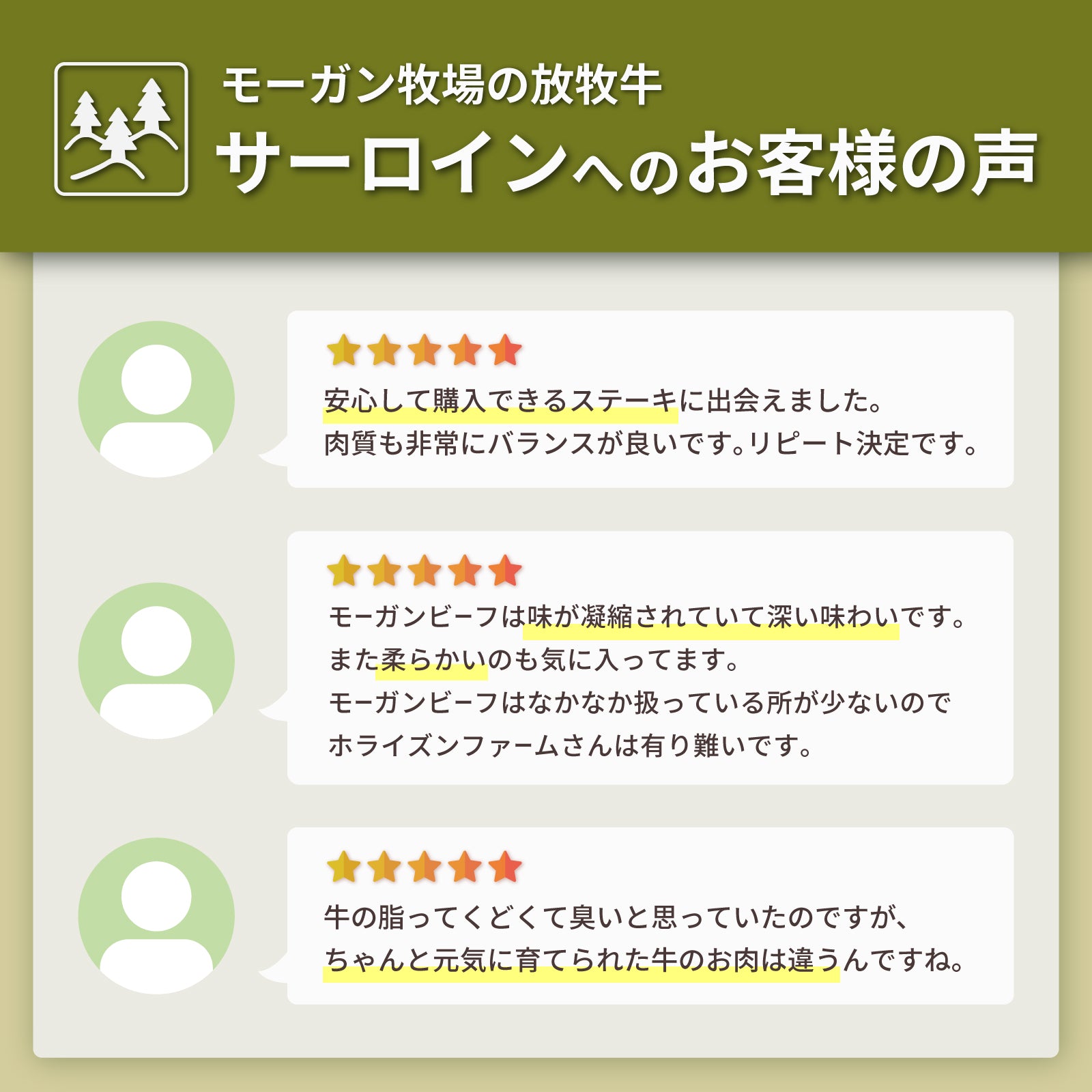 モーガン牧場ビーフ USDA プライム サーロインステーキ (300g) ホライズンファームズ