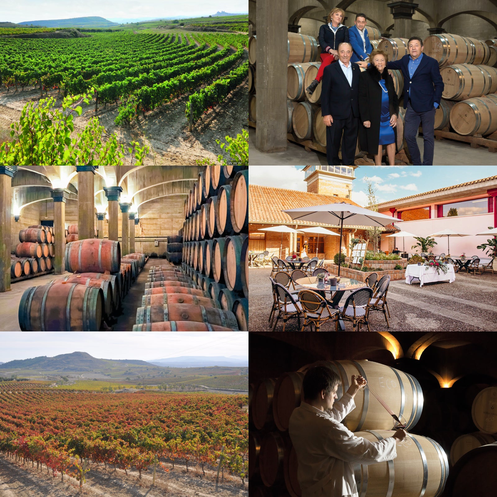 オーガニック ワイン ロゼ イハルバ・ロサド スペイン リオハ産 (750ml)