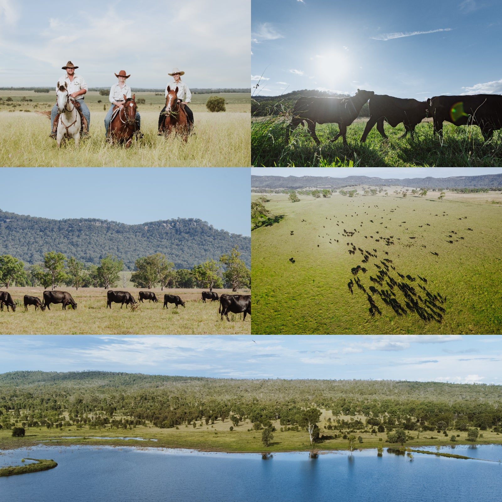 有機 JAS オーガニック グラスフェッドビーフ 牛肉 ロース ステーキ オーストラリア産 牧草牛 訳あり (200g) 賞味期限:2025/10/4【日時指定不可】【銀行振込不可】 ホライズンファームズ