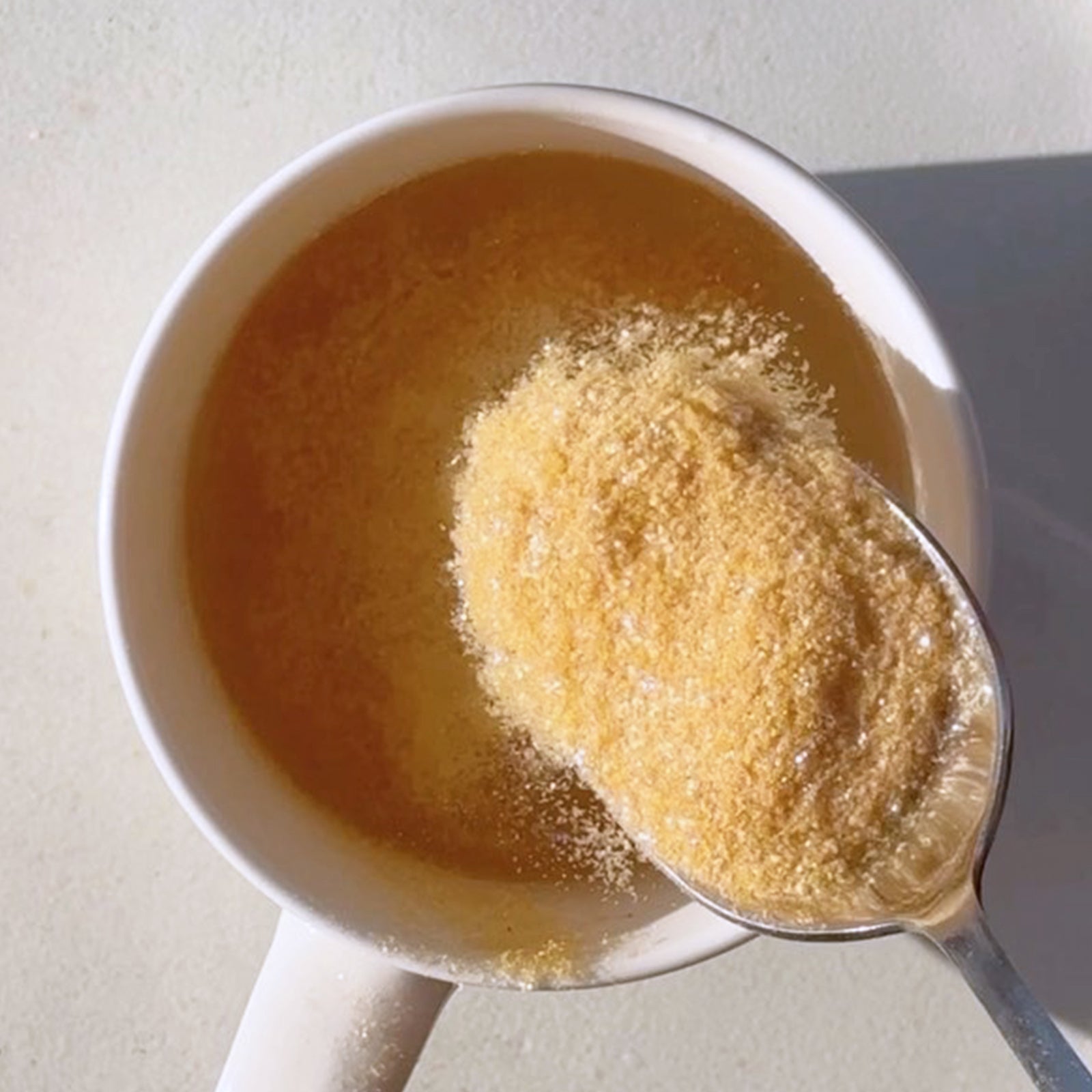 有機 JAS オーガニック 放牧 チキン ボーンブロス & 野菜 スープ パウダー 粉末タイプ (100g・14杯分) ホライズンファームズ