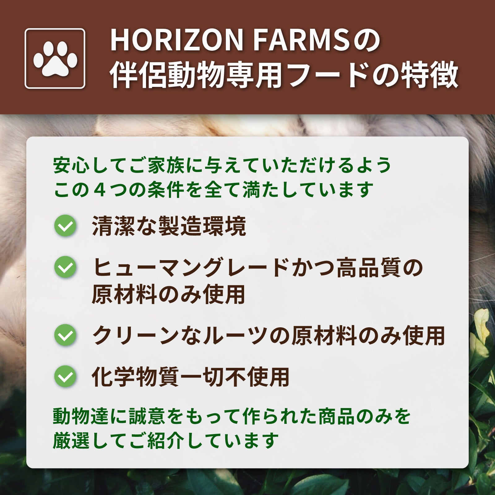 【犬用】 無添加 ジビエ 野生 鹿肉 エゾシカ 煮込み ウェットフード おやつ 北海道産 (110g) ホライズンファームズ