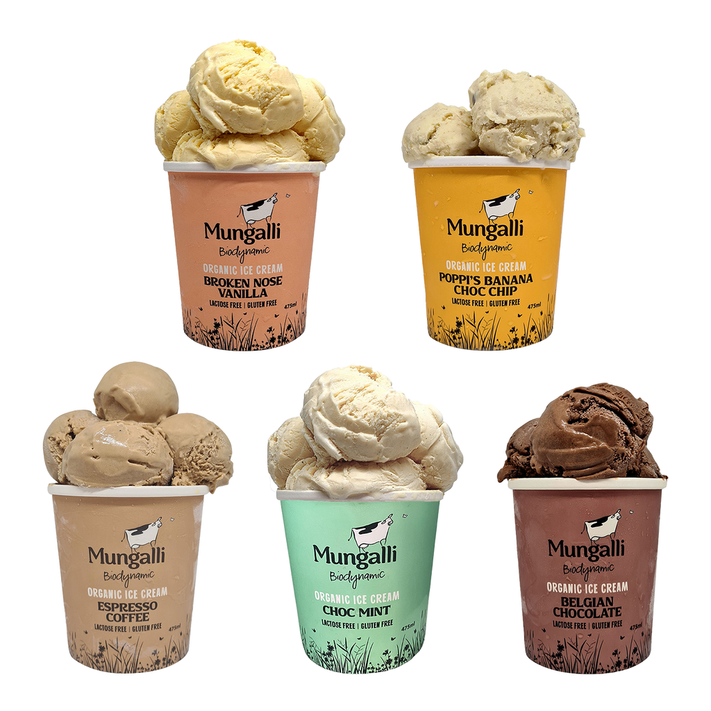 有機 JAS オーガニック ナチュラル アイスクリーム 詰め合わせ セット