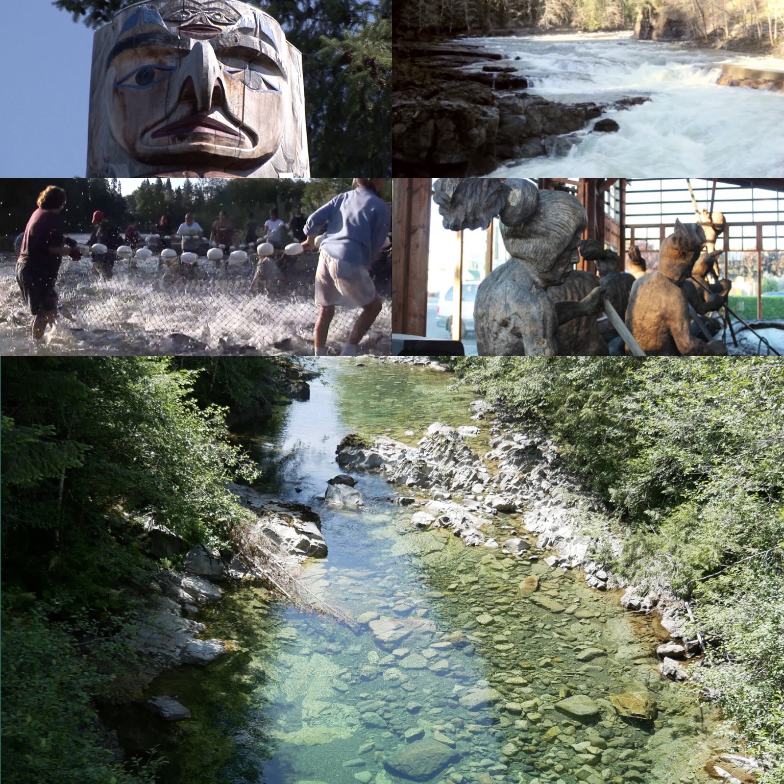 無添加 天然 キング サーモン 燻製 カナダ産 保存料不使用 訳あり (227g) 賞味期限:2026/2/22【日時指定不可】【銀行振込不可】 ホライズンファームズ