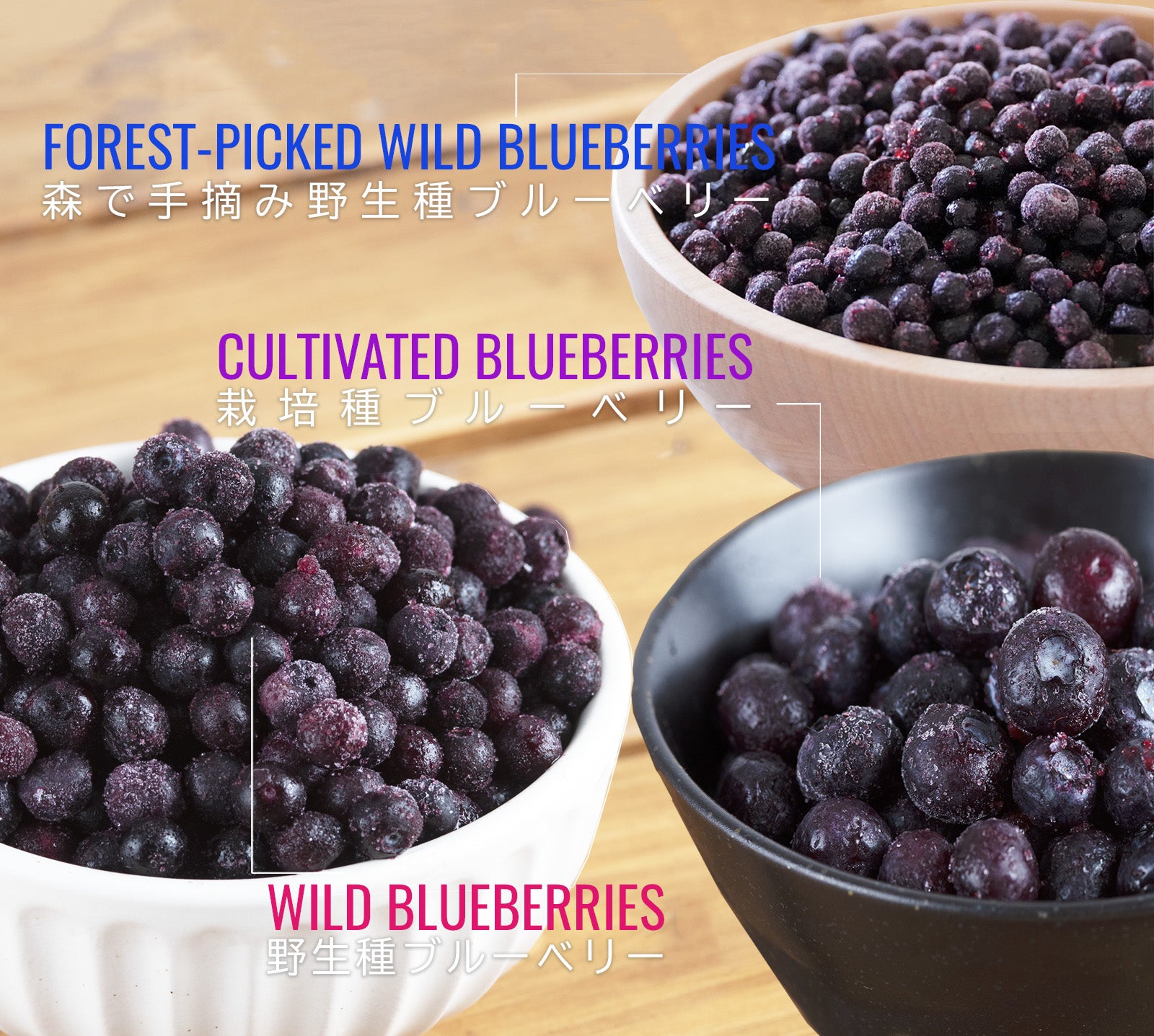 有機 JAS オーガニック 冷凍 ワイルド ブルーベリー 野生種 カナダ産 化学物質不使用 (1kg) ホライズンファームズ