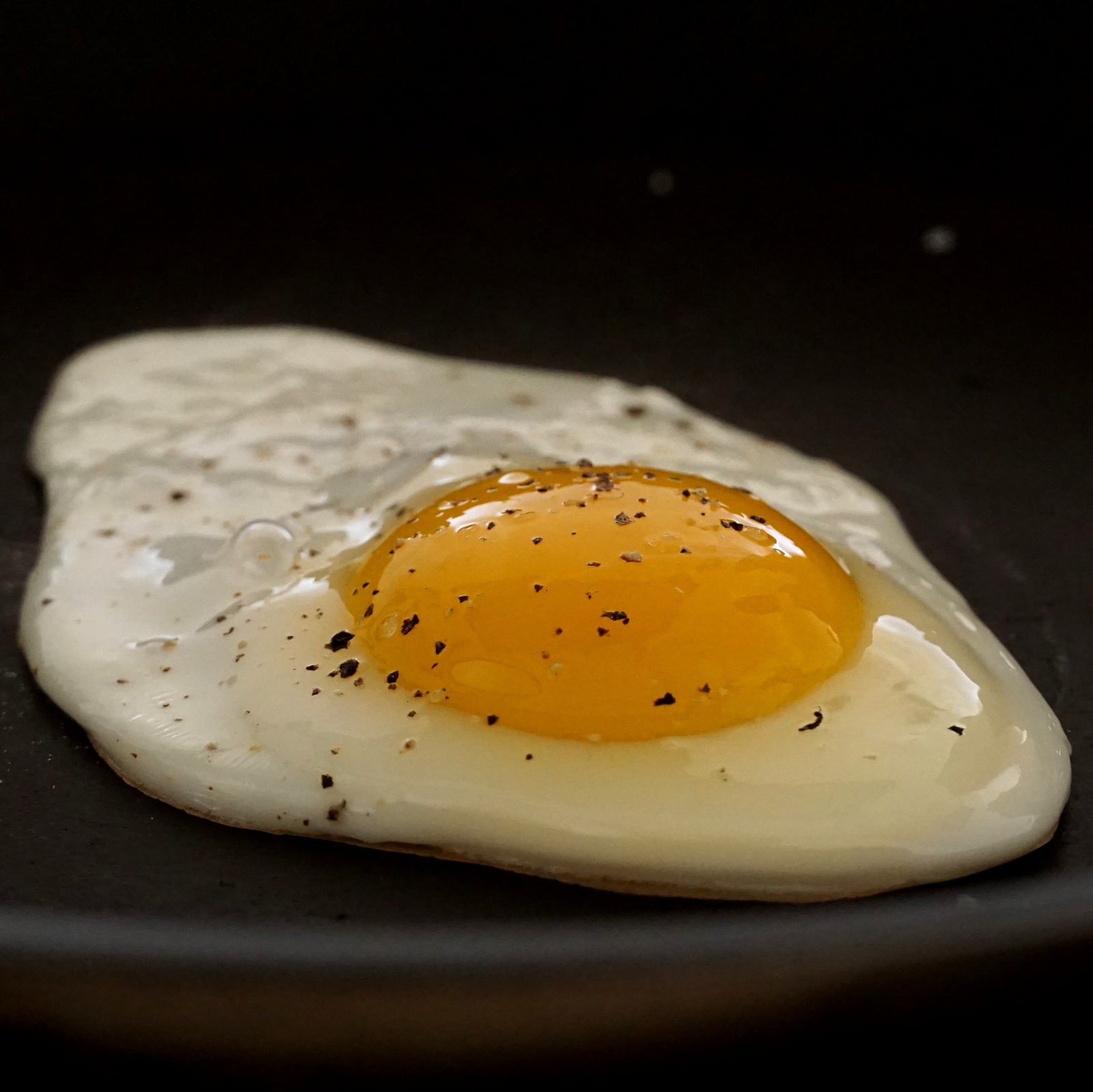 平飼い 放牧 卵 (12個)【日時指定不可】【銀行振込不可】 ホライズンファームズ
