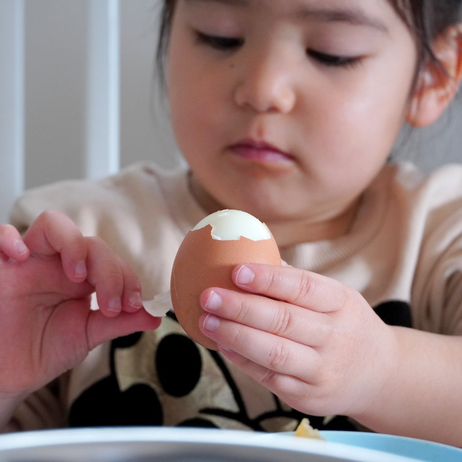 有機 JAS オーガニック 平飼い 放牧 卵 (12個)【日時指定不可】【銀行振込不可】 ホライズンファームズ