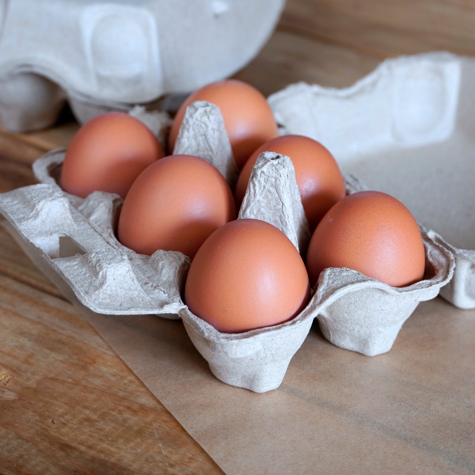 平飼い 放牧 卵 (12個)【日時指定不可】【銀行振込不可】 ホライズンファームズ