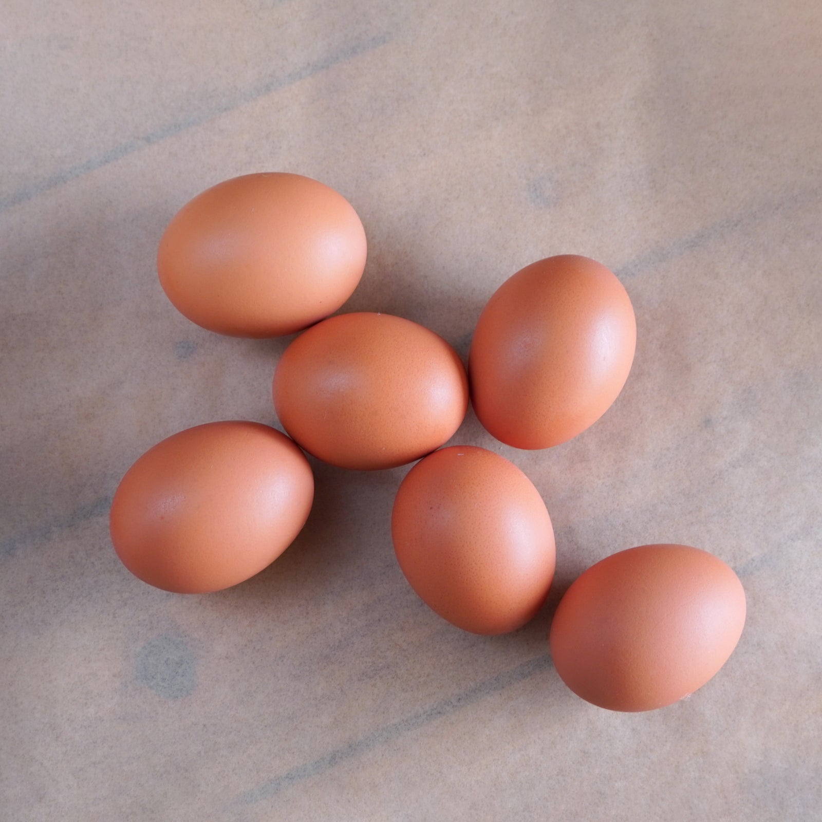 平飼い 放牧 卵 (12個)【日時指定不可】【銀行振込不可】 ホライズンファームズ