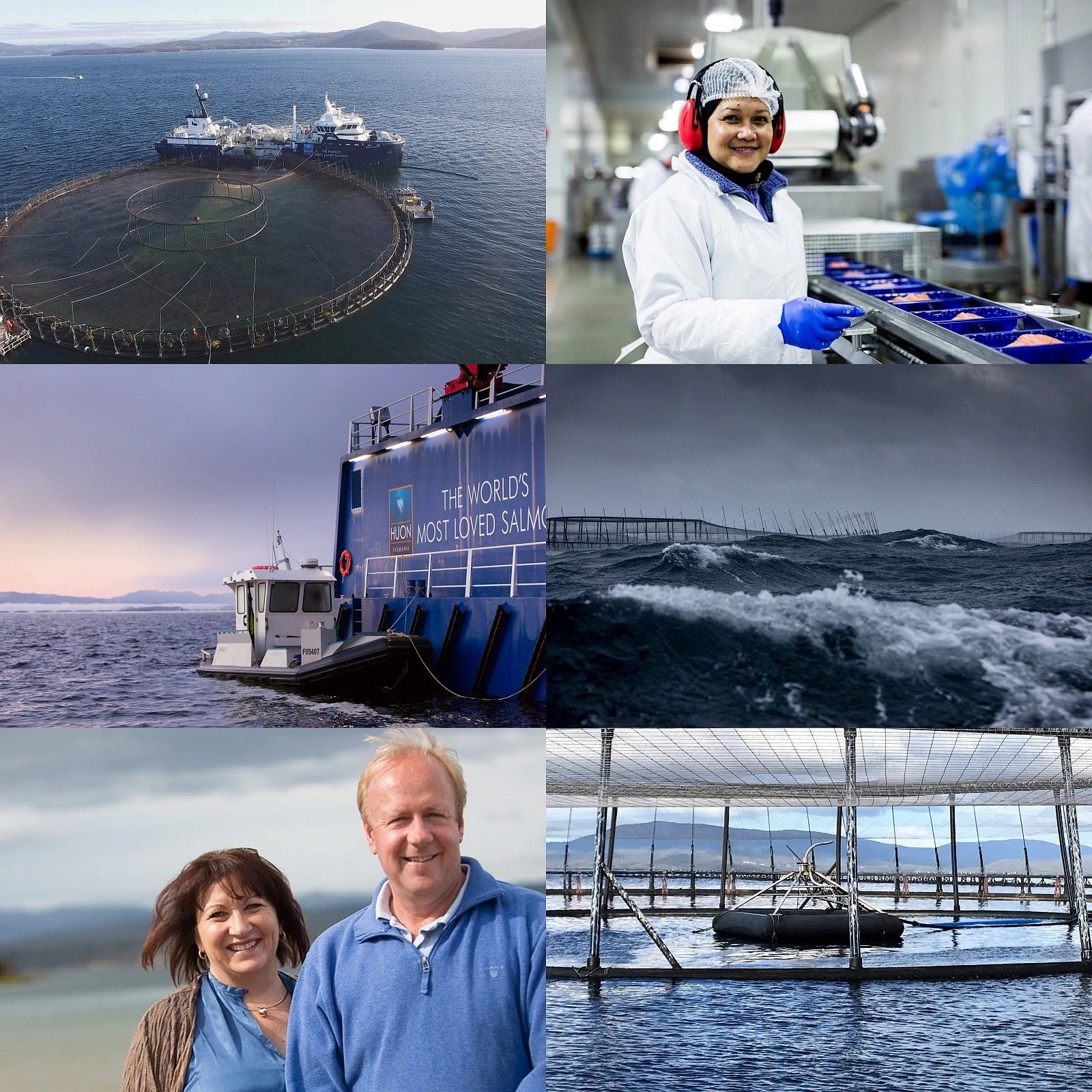 タスマニア産 最高級 アトランティック サーモン 切身 (200g) ホライズンファームズ