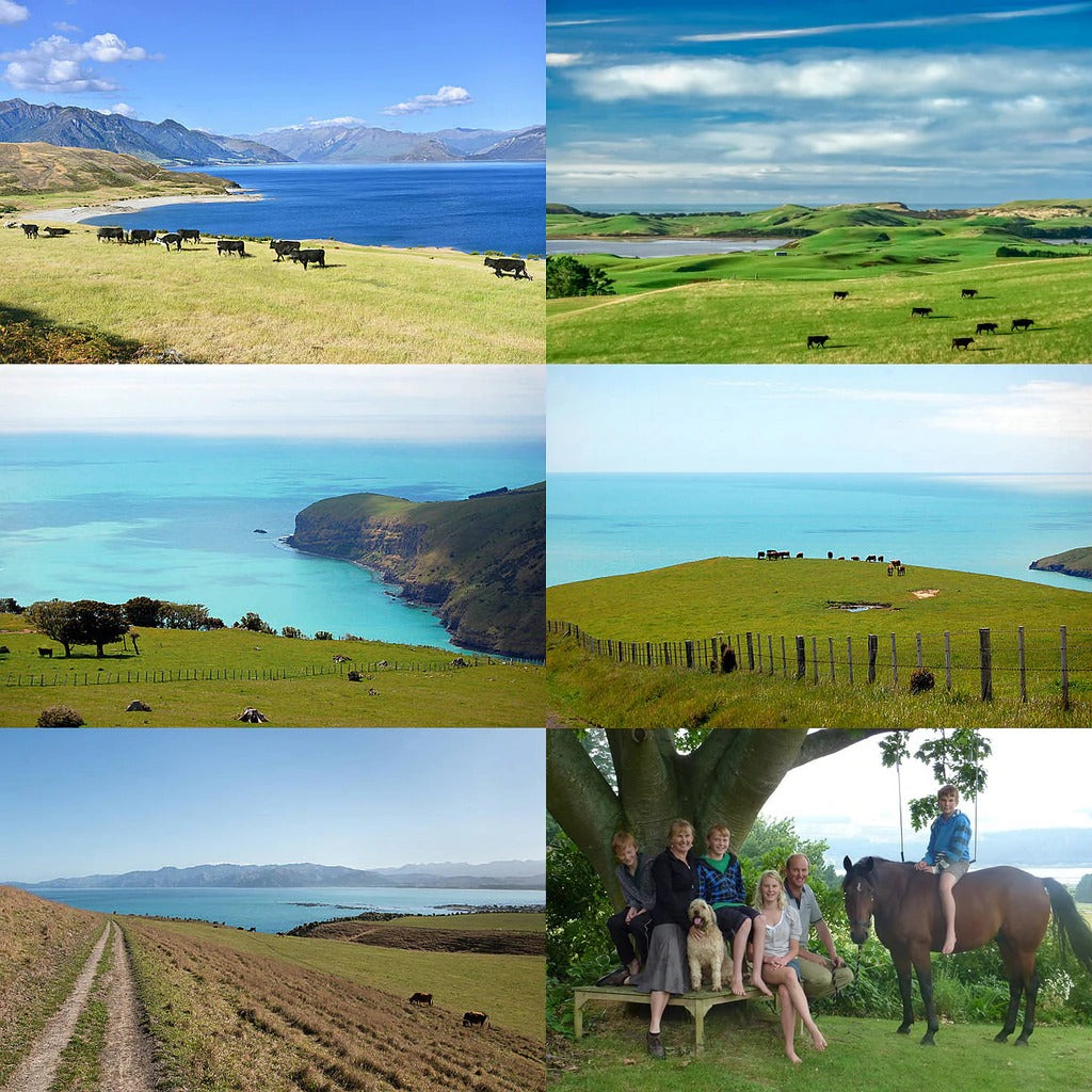 グレインフェッドビーフ カイノミ 焼肉用 スライス ニュージーランド産 放牧牛 訳あり (300g) 賞味期限:2025/12/15【日時指定不可】【銀行振込不可】 ホライズンファームズ