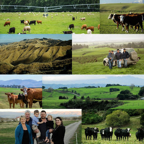 グラスフェッドビーフ 牛肉 リブロース ステーキ ニュージーランド産 牧草牛 (200g) ホライズンファームズ
