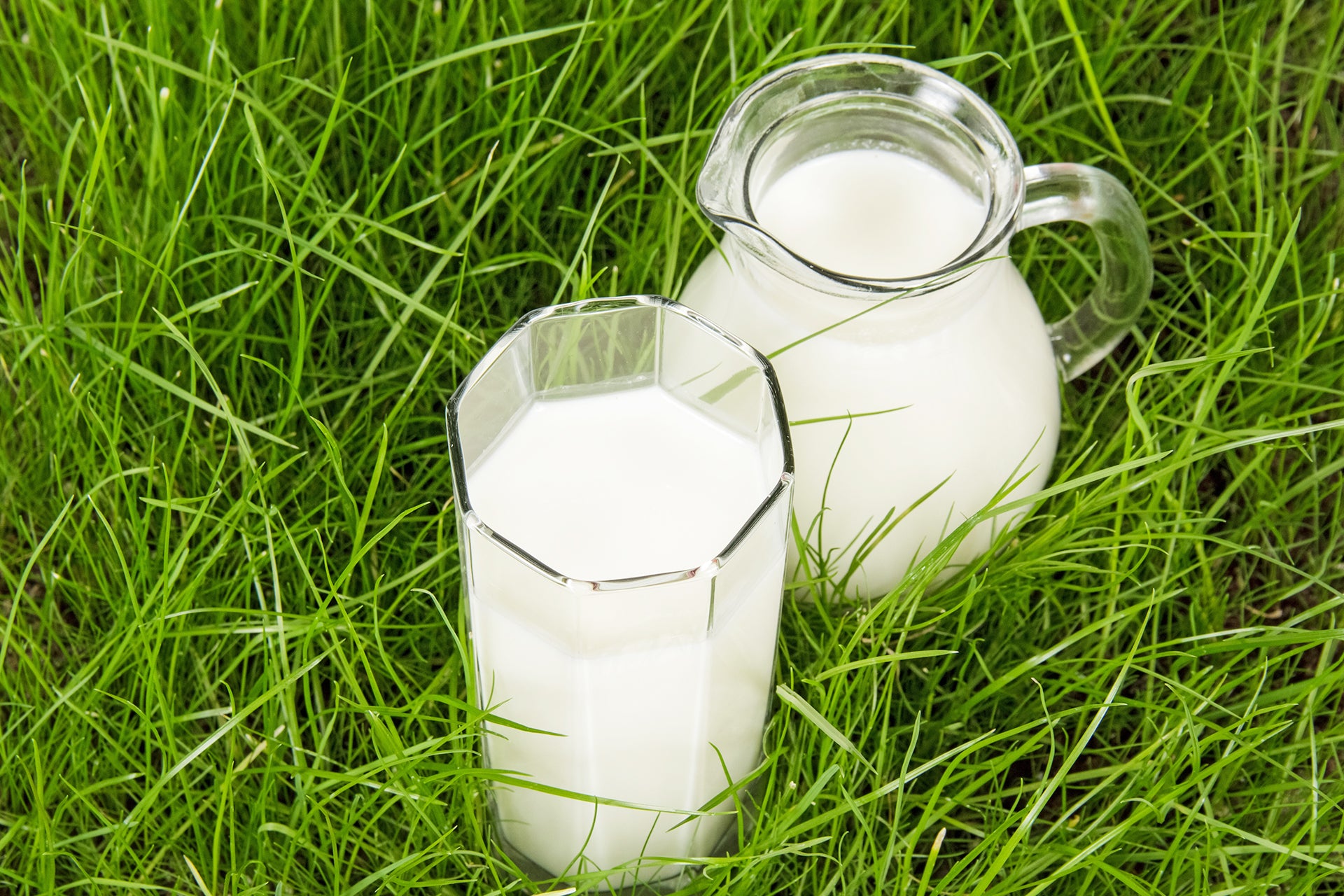 グラスフェッドミルクとは？ 特徴や一般的な牛乳との違いを解説