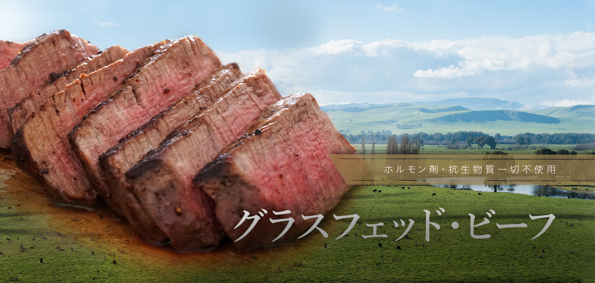 ホルモン剤・抗生物質一切不使用 グラスフェッドビーフ