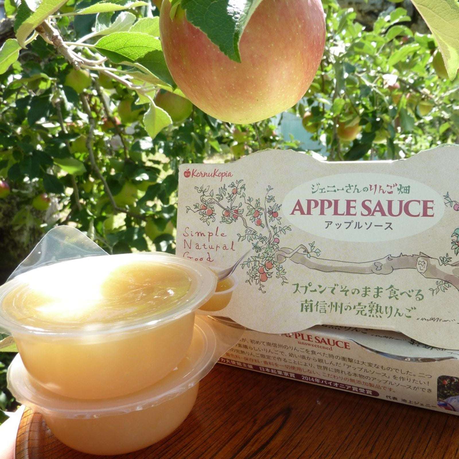 りんごソース　国産　南信州　砂糖不使用　林檎　無添加　乳製品不使用　100%　(73g×6個)