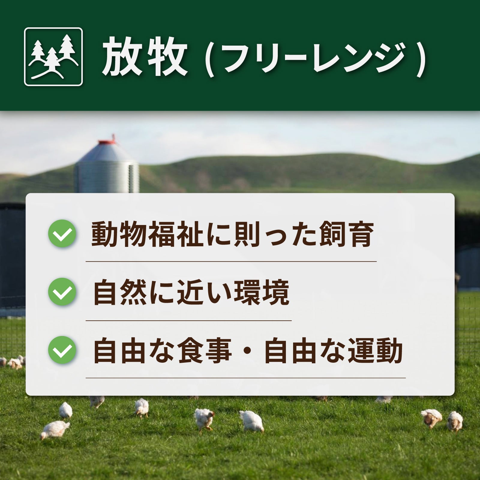 無添加 砂糖不使用 放牧豚 モモ肉 厚切り スモーク ハム 角切り 炒飯用 (200g) ホライズンファームズ