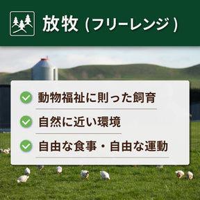 北海道 放牧豚 ロース ステーキ (200g) ホライズンファームズ