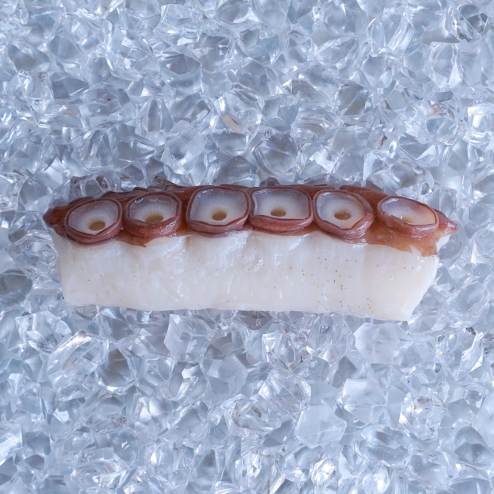 天然 高品質 ミズダコ 刺身用 タコ足 ブロック 北海道産 (250g) ホライズンファームズ