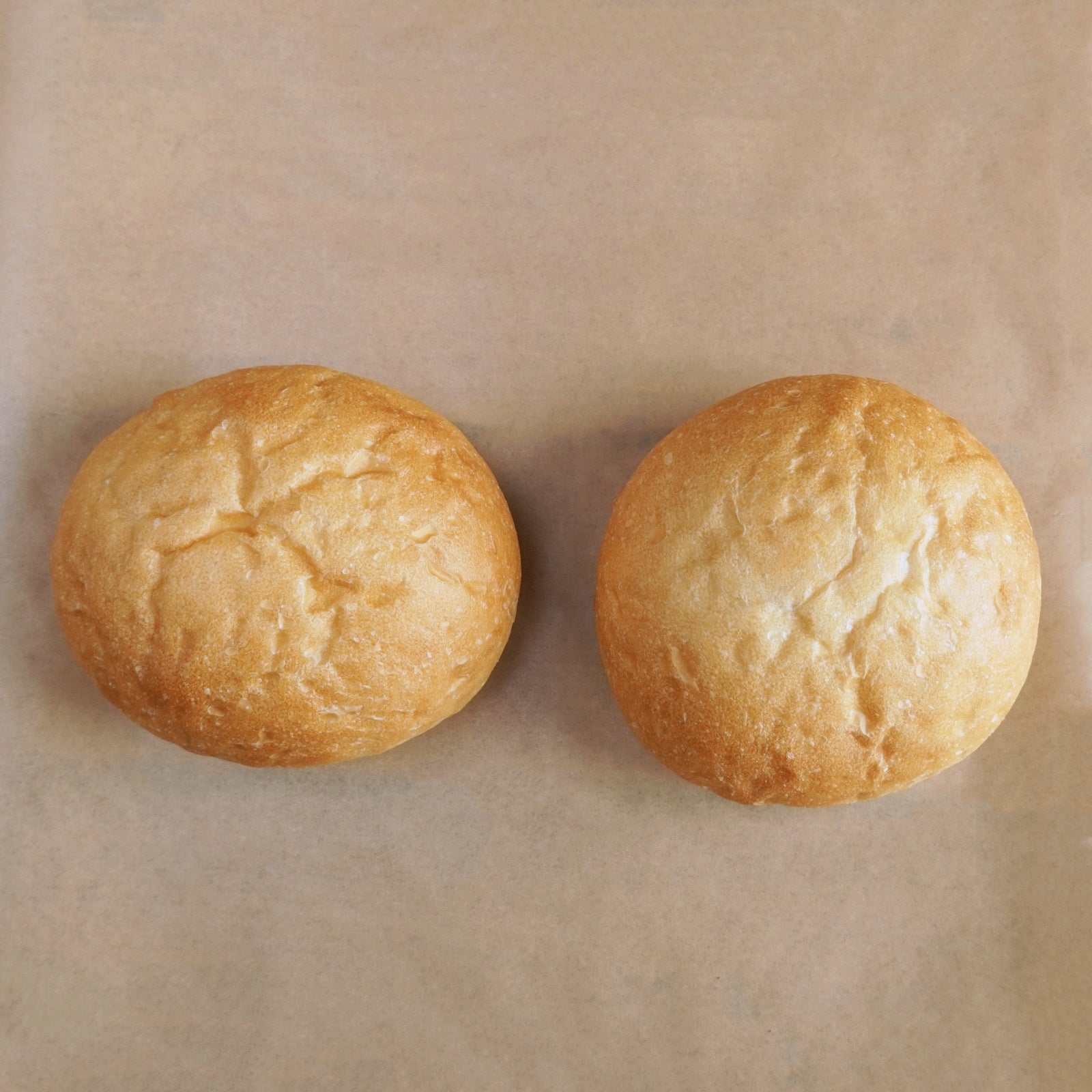 無添加 バーガー バンズ ゴマなし パン 卵不使用 乳製品不使用 国産 (2個) ホライズンファームズ