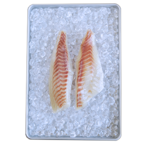 BAP 認証 無投薬 養殖 冷凍 真鯛  切身 愛媛県産  (280g) ホライズンファームズ