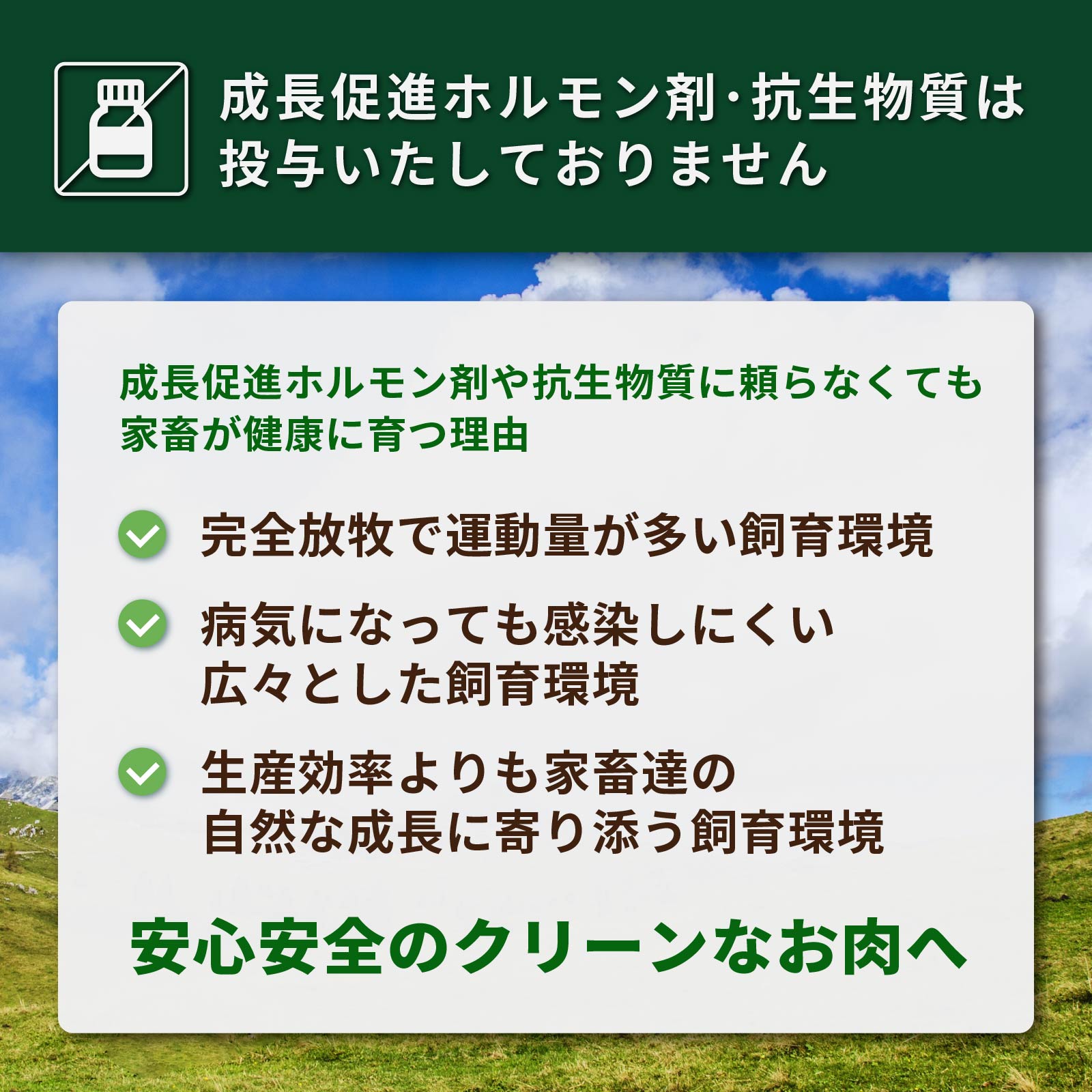 グラスフェッドビーフ グレインフィニッシュ サーロインステーキ 訳あり (200g) 賞味期限：2025/6/12 ホライズンファームズ
