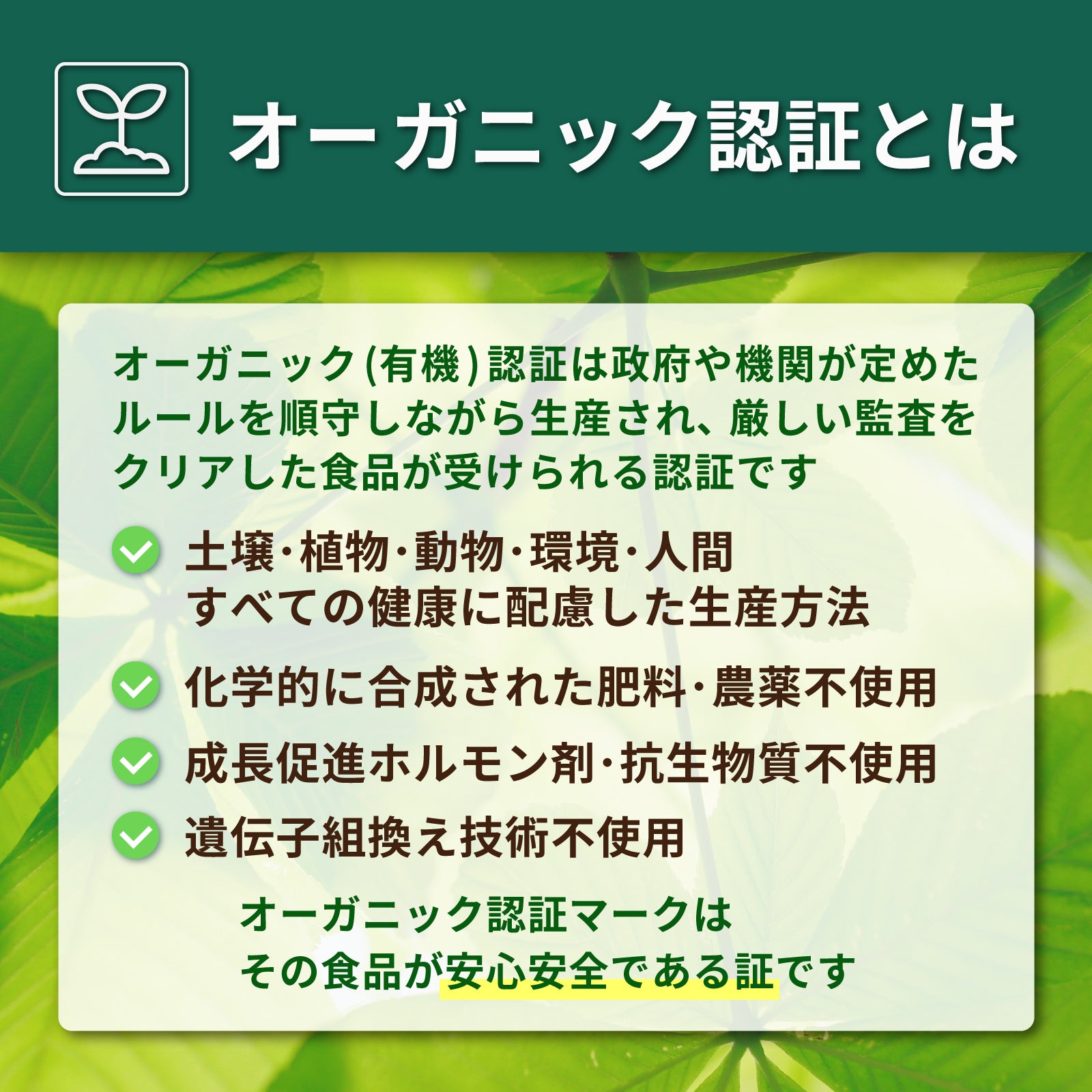 有機 JAS オーガニック 冷凍 マスクメロン グリーン 青肉 ベトナム産 化学物質不使用 (350g) ホライズンファームズ