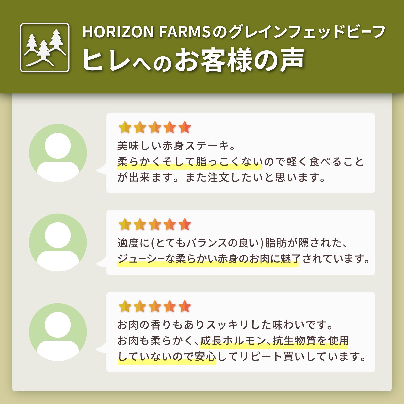 グレインフェッドビーフ 牛肉 ヒレ ステーキ 詰め合わせセット ニュージーランド産 放牧牛 合計10点 (2kg) ホライズンファームズ