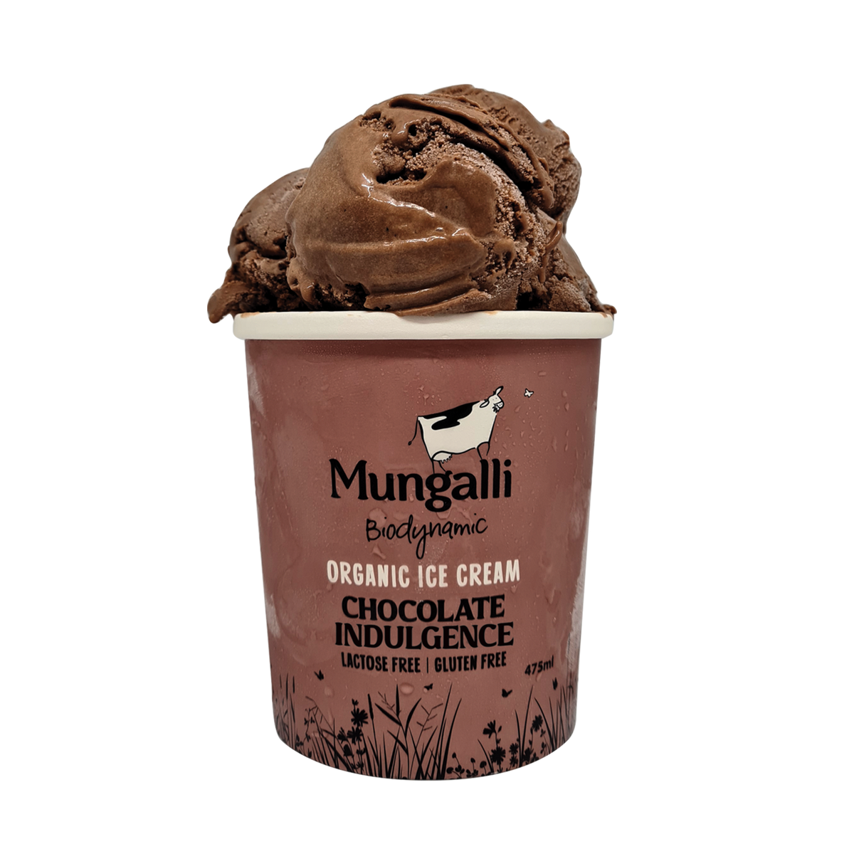 有機 JAS オーガニック グラスフェッド ナチュラル アイスクリーム チョコレート 濃厚 オーストラリア産 (475-1000ml)