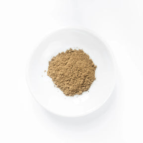 有機 JAS オーガニック ほうじ茶 粉末タイプ 国産 静岡県産  (30g・30杯分) ホライズンファームズ