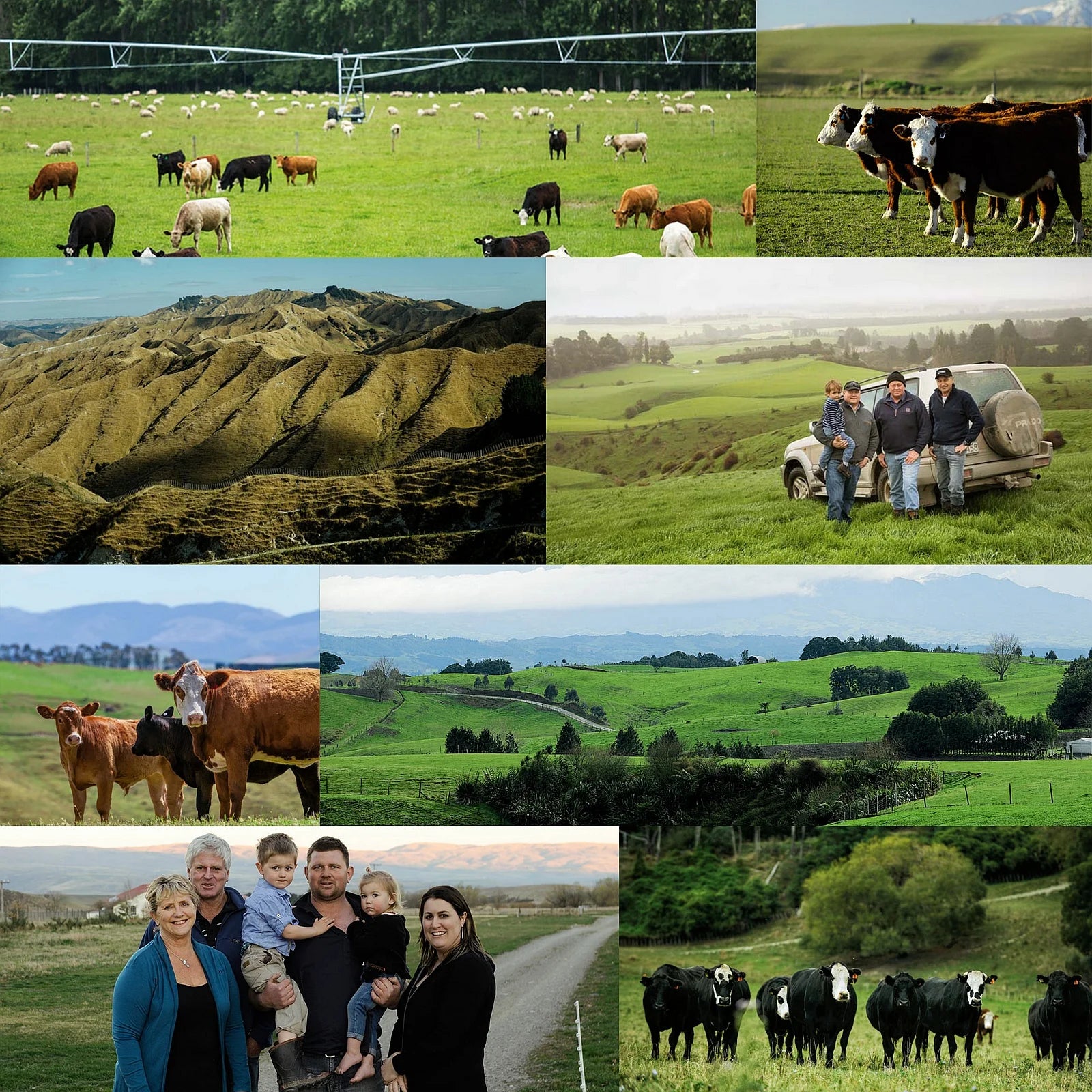 無添加・保存料不使用  放牧 グラスフェッド ビーフ ソーセージ ニュージーランド産 牧草牛 (240g) ホライズンファームズ