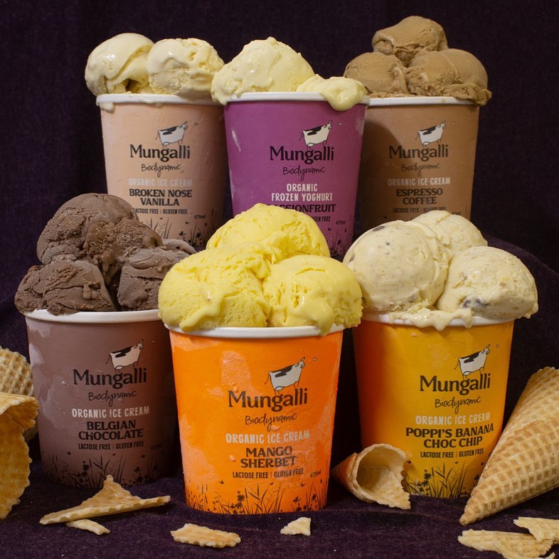 有機 JAS オーガニック グラスフェッド ナチュラル アイスクリーム バナナ チョコチップ オーストラリア産 (475ml) ホライズンファームズ