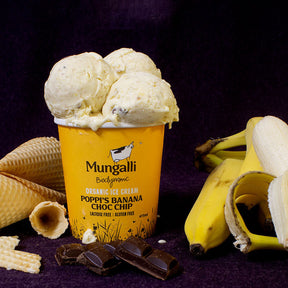 有機 JAS オーガニック グラスフェッド ナチュラル アイスクリーム バナナ チョコチップ オーストラリア産 (475ml) ホライズンファームズ