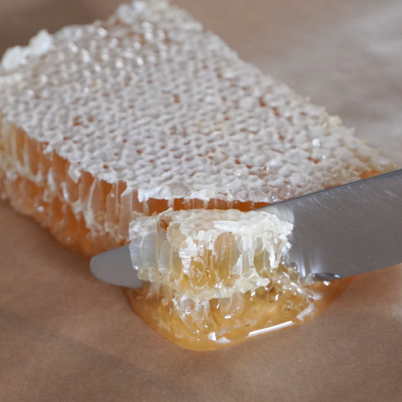 オーガニック 巣蜜 非加熱 生はちみつ ハンガリー産 (200g) ホライズンファームズ